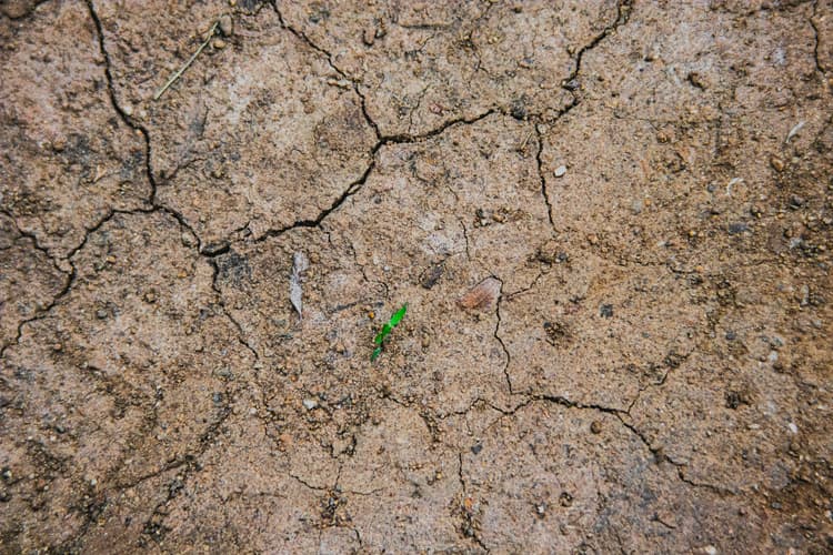 Climate Resilience Training